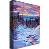 Trademark Fine Art David Lloyd Glover 'Winter Solstice' Canvas Art, 18x24 DLG0116-C1824GG